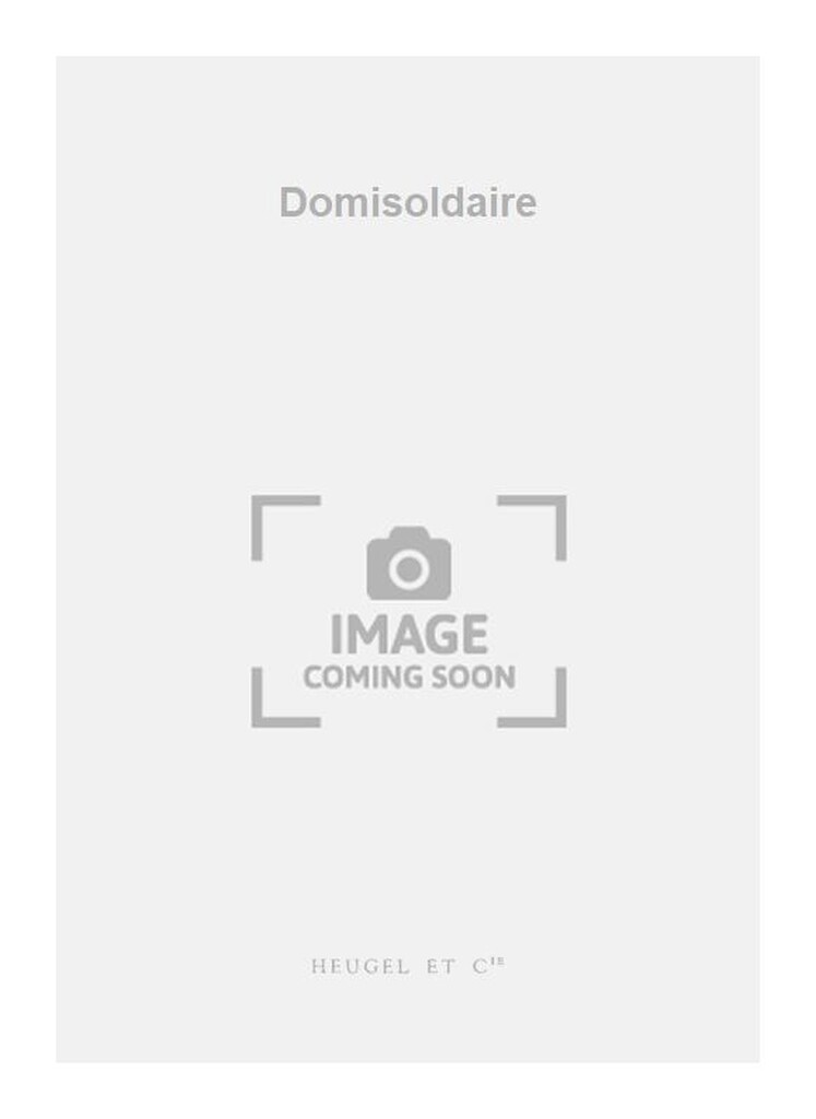 Domisoldaire